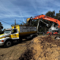 Debris Removal