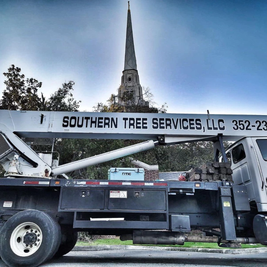 Southern Tree Service, LLC about media